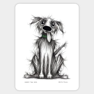 Harry the dog Sticker